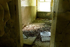 P1050356