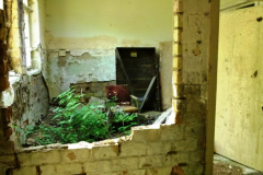 P1080061